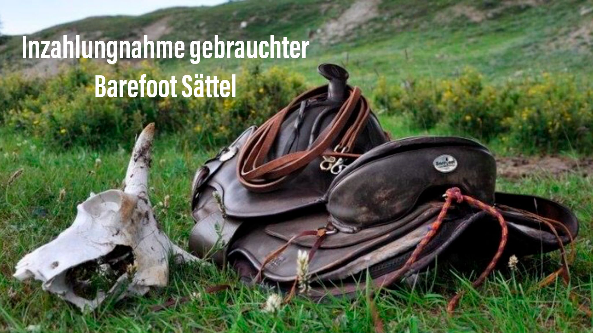 Inzahlungnahme gebrauchter Barefoot Reitpads