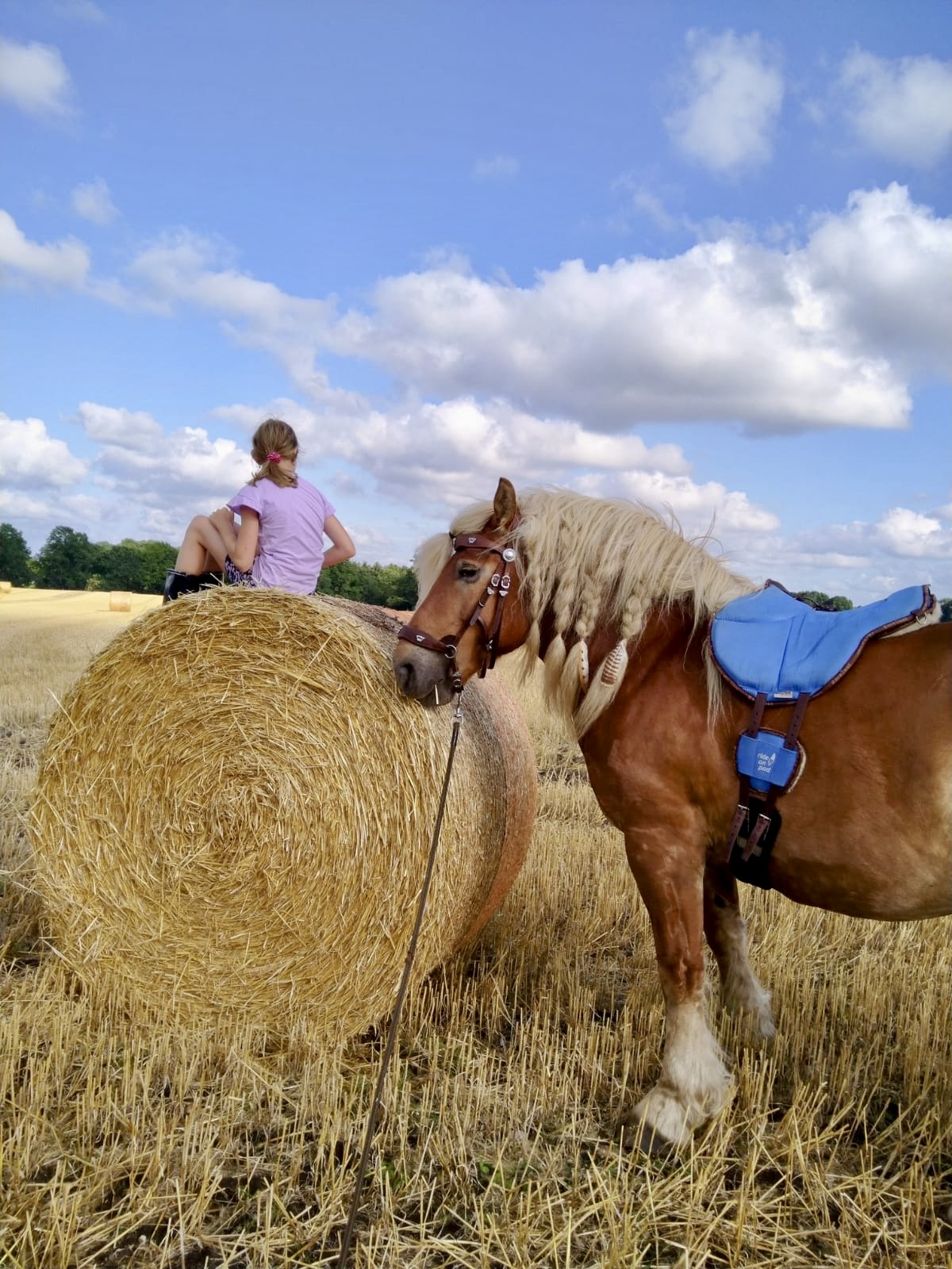 Barefoot Ride-on-Pad 4