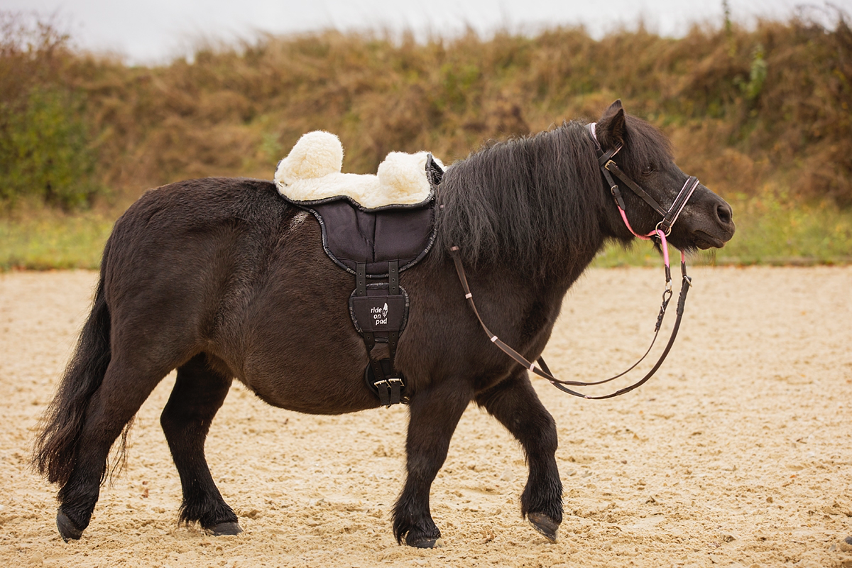Barefoot Ride-on-Pad 6