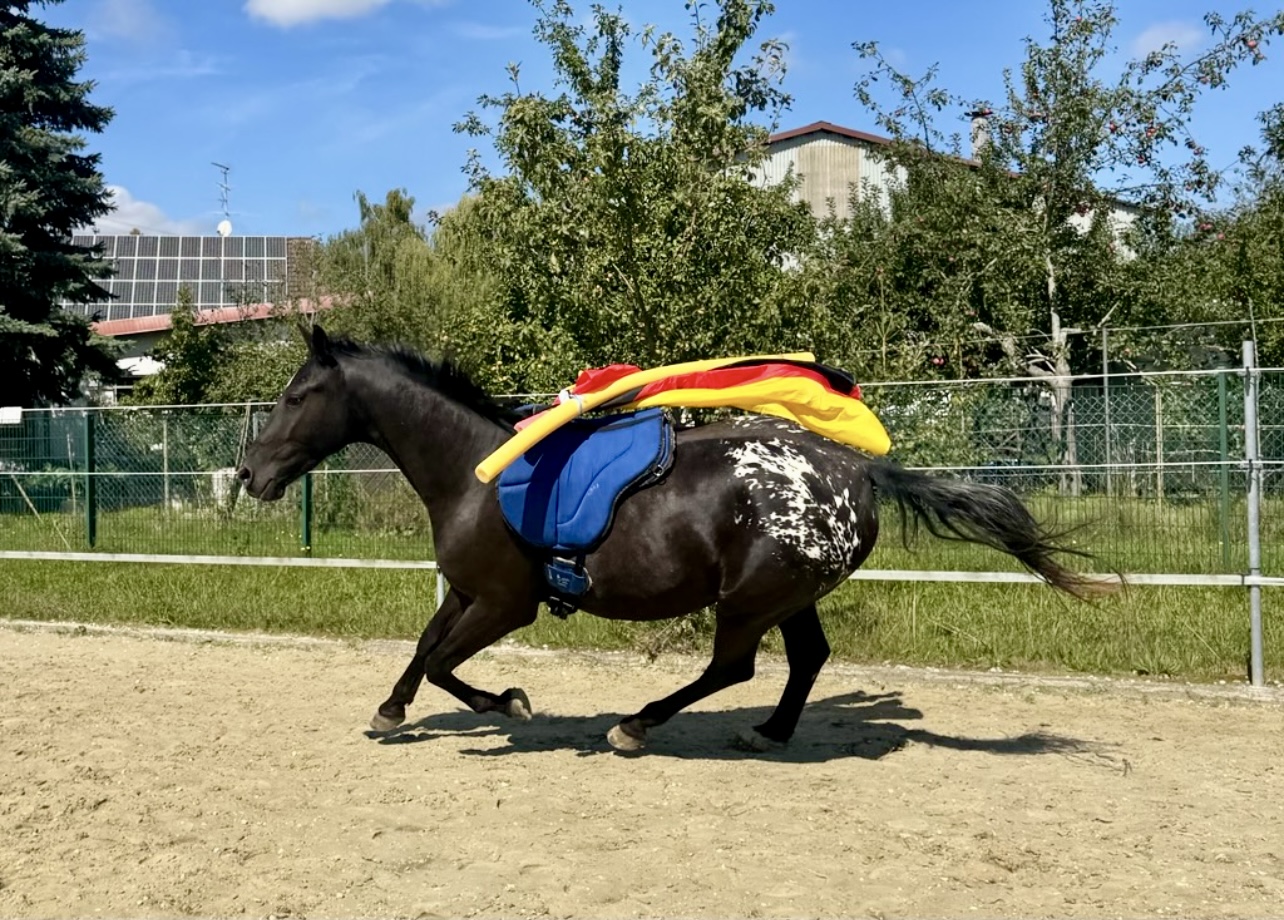 Barefoot Ride-on-Pad 8