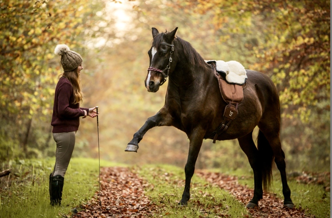 Barefoot Ride-on-Pad 9