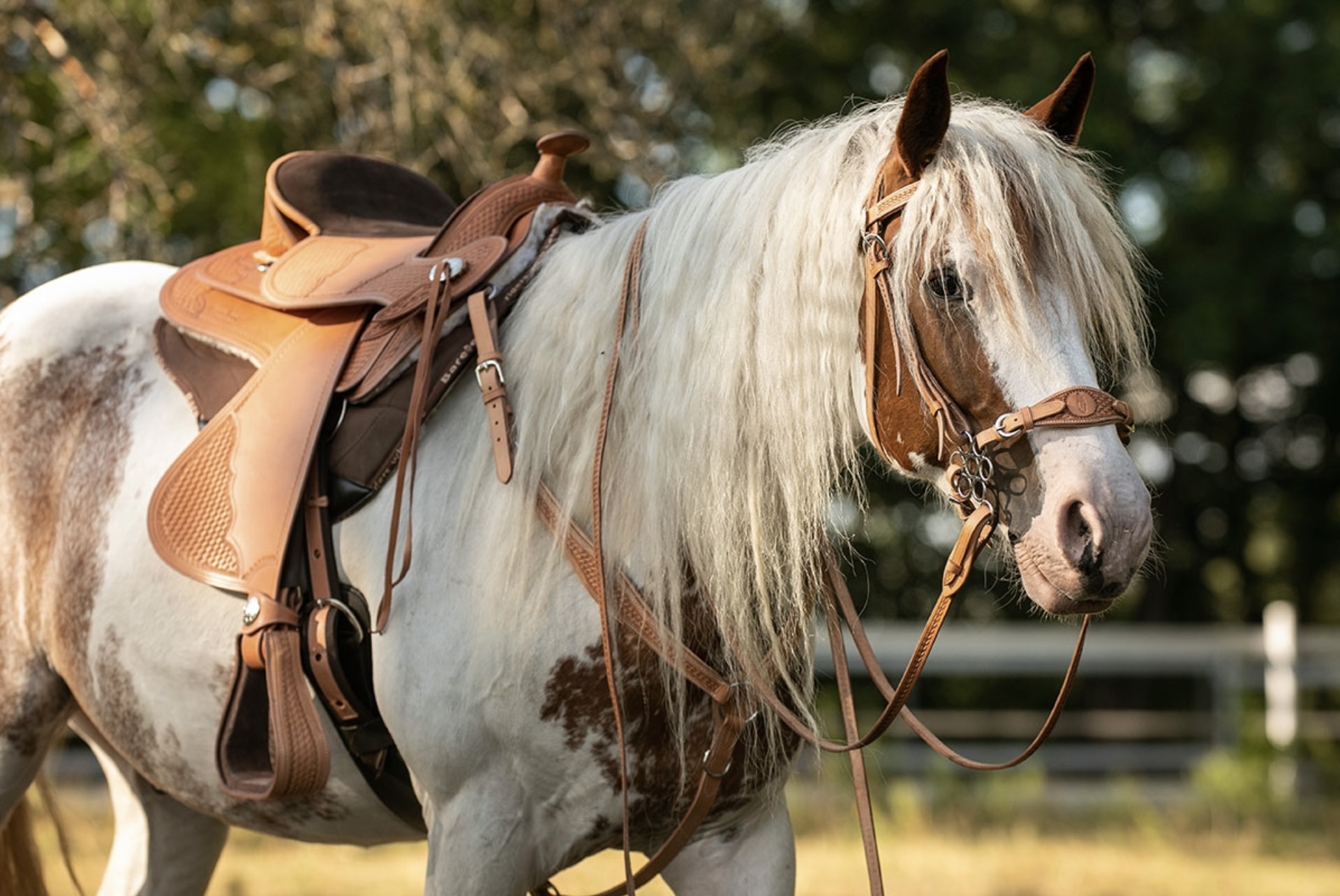 Barefoot Westernsattel 10