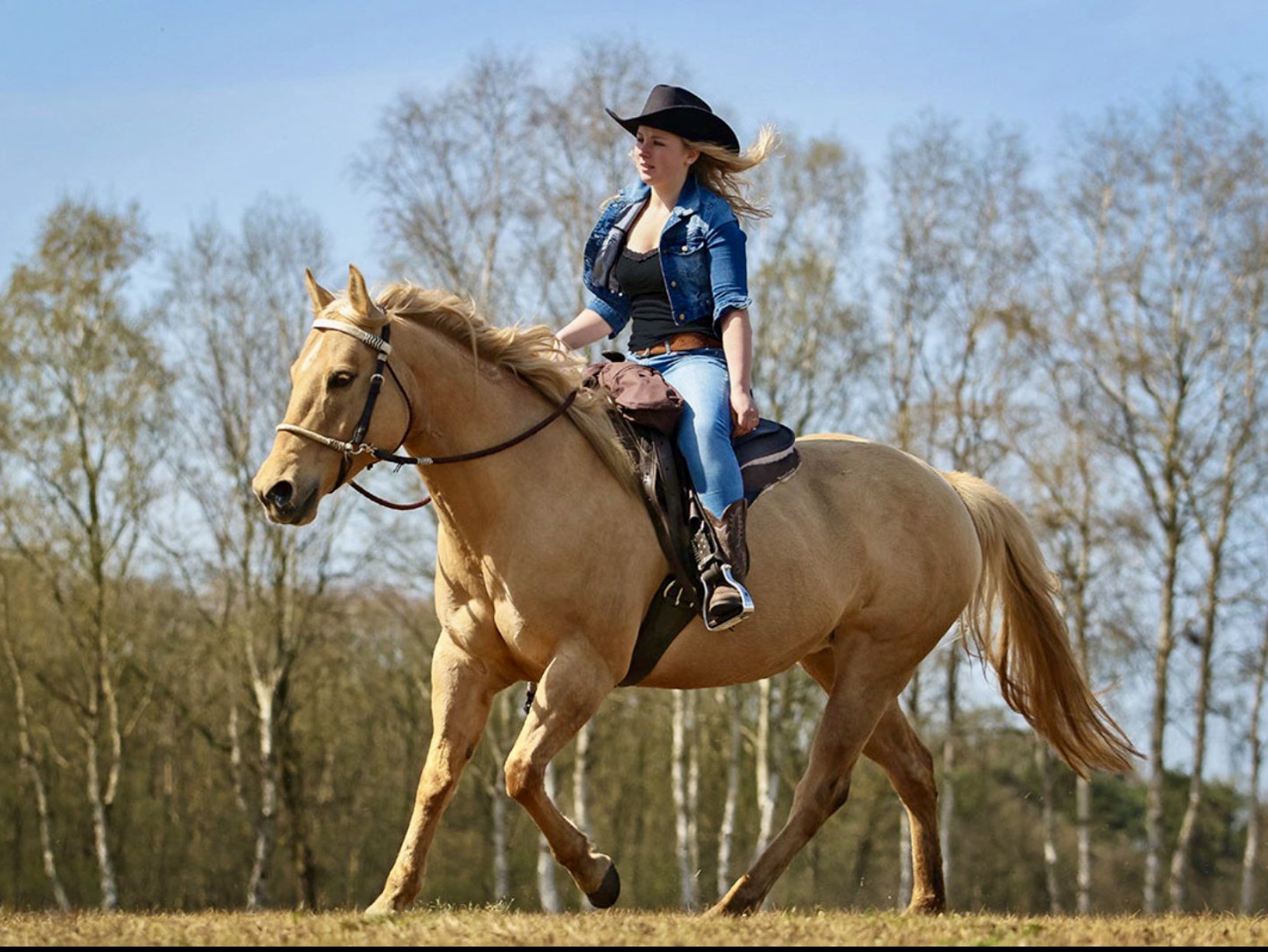 Barefoot Westernsattel 4