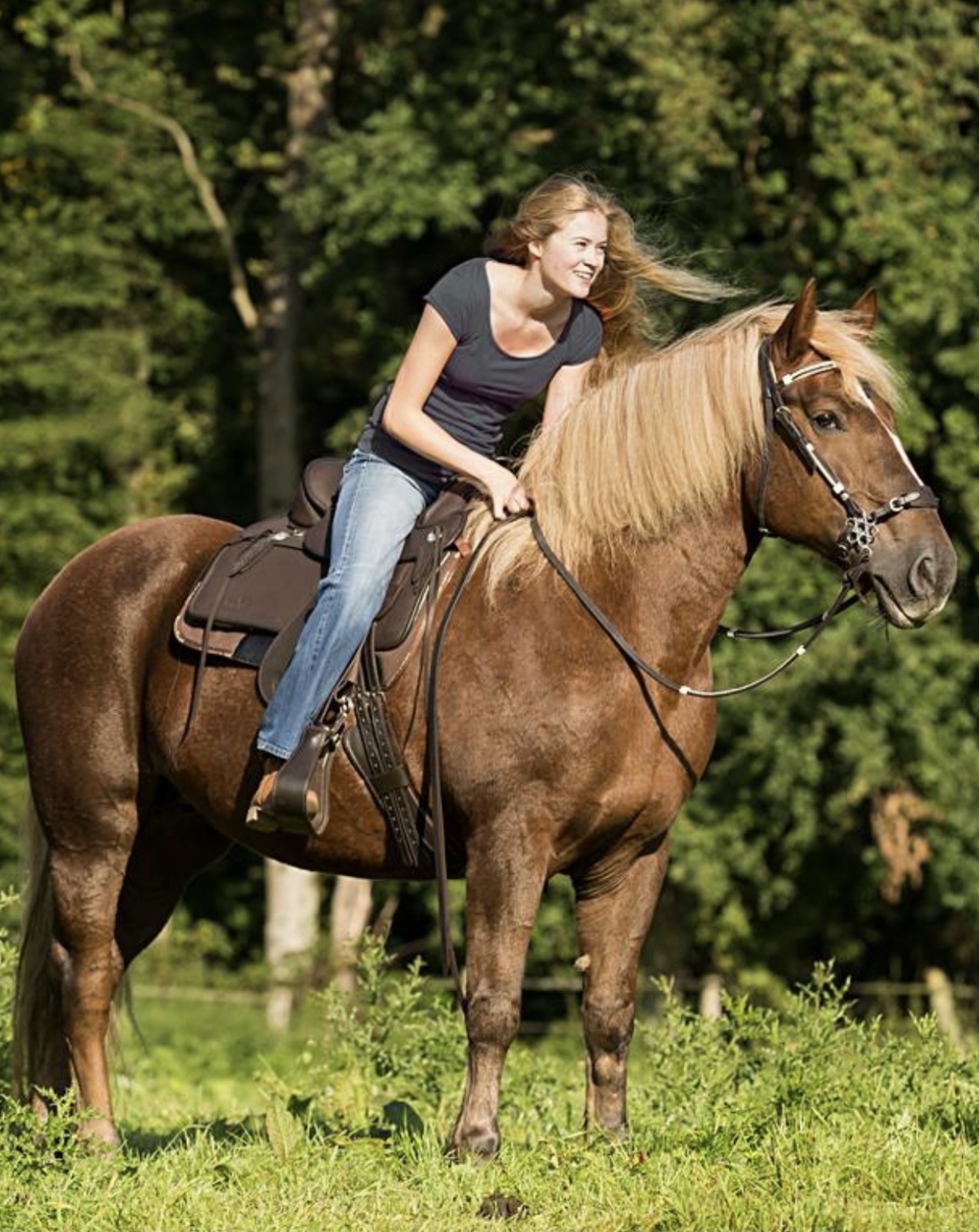 Barefoot Westernsattel 7
