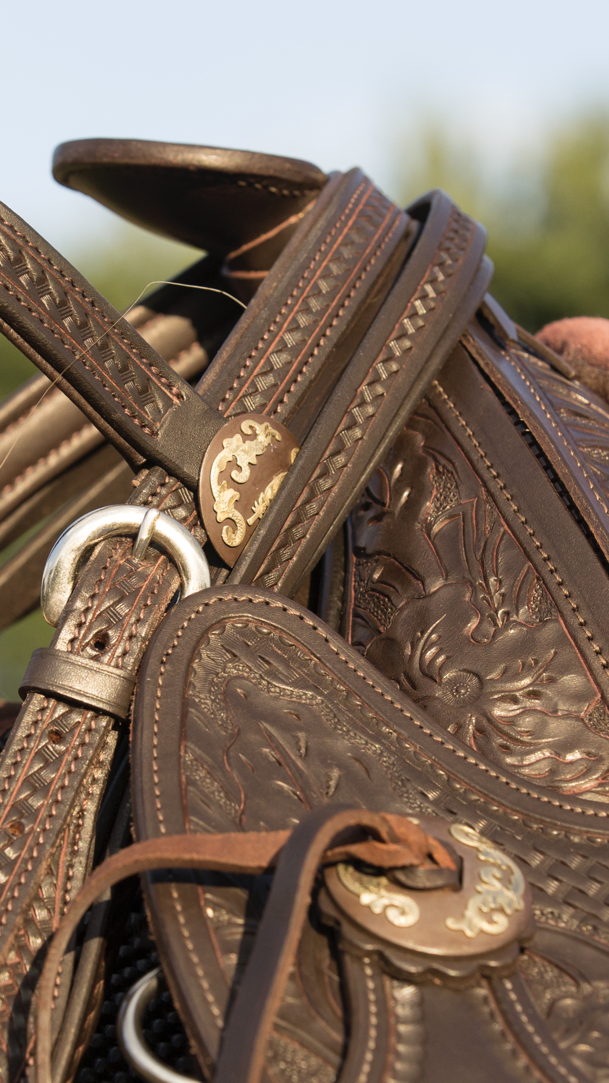 Barefoot Westernsattel 8
